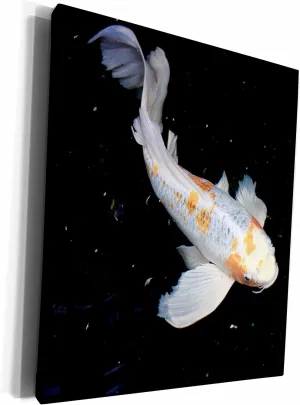 3dRose Museum Grade Canvas Wrap - Koi Fish Swims Motion TDSwhite – Miscellaneous Photography