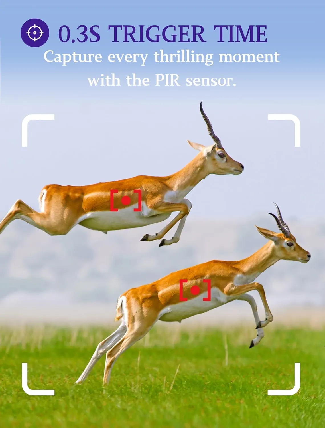 5-Pack Game & Trail Cameras 32MP 1296P 75ft Night Vision Time Lapse Wildlife Deer Hunting Cams No Glow Infrared Motion Activated IP66 Waterproof Password Protection Photo & Video Model