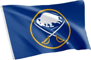 Desert Cactus Buffalo Sabres Flag NHL 100% Polyester Indoor Outdoor 3x5 feet National Hockey League Team Flags (Design #1)