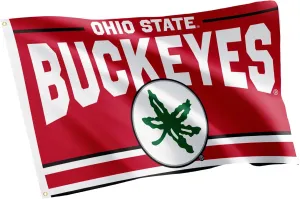 Desert Cactus Ohio State University OSU Flag - 3 x 5 Feet Buckeyes Banner, Indoor/Outdoor Durable Fabric, 100% Polyester Design (Style C)