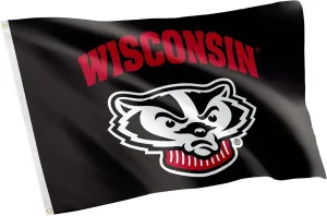 Desert Cactus University of Wisconsin Flag Badgers UW Madison Banners 100% Polyester Indoor Outdoor 3x5 feet Flags (Design 7)