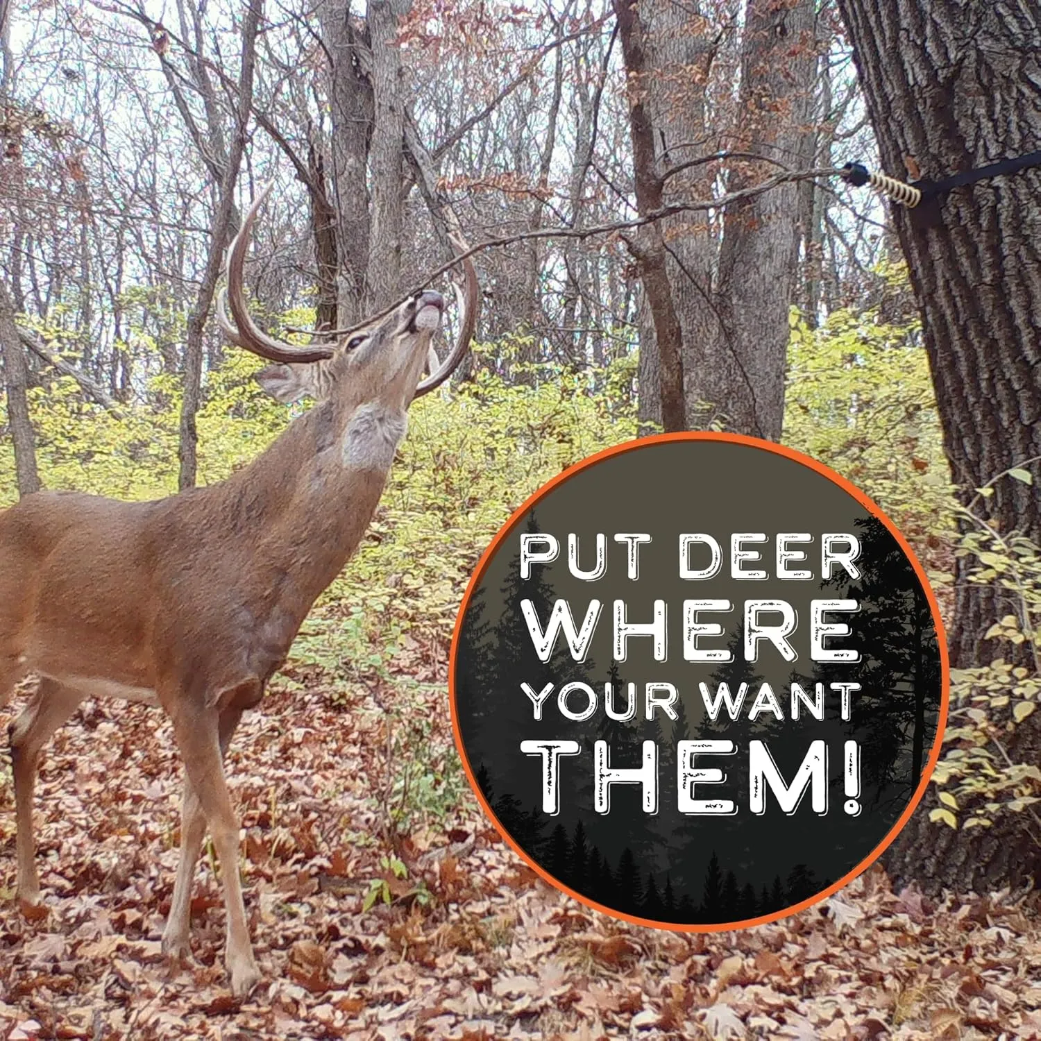 HODAG Licking Branch System to Create an Effective Mock Scrape | Deer Hunting Accessories | Deer Hunting Gear | Trail Camera Accessory | Bow Hunting Accessories | Deer Hunting Gifts