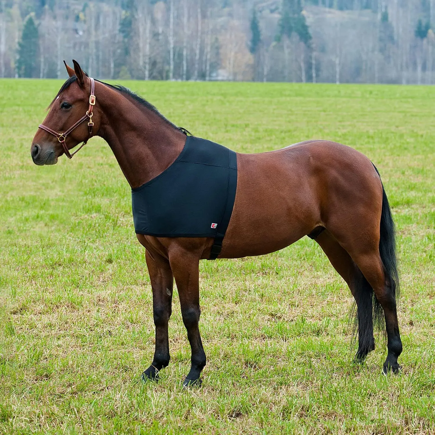 HORZE ComForce Blanket Shoulder Guard - Black - L