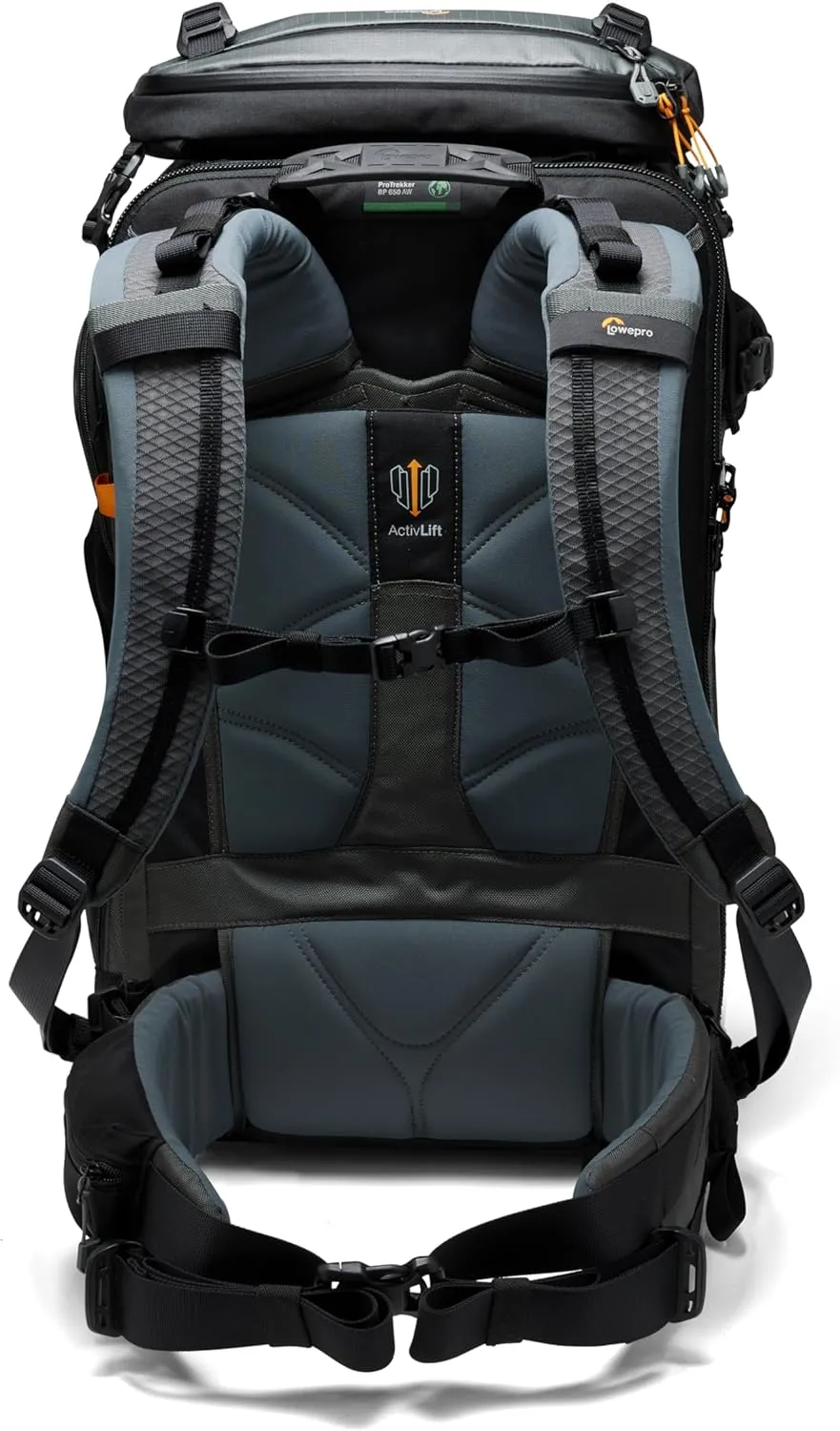 Lowepro Camera & Photo BP 650 AW II-New, Black and Grey