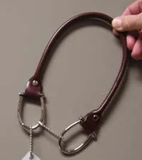 Madrid Aubergine Rolled Leather Handle 18 inches