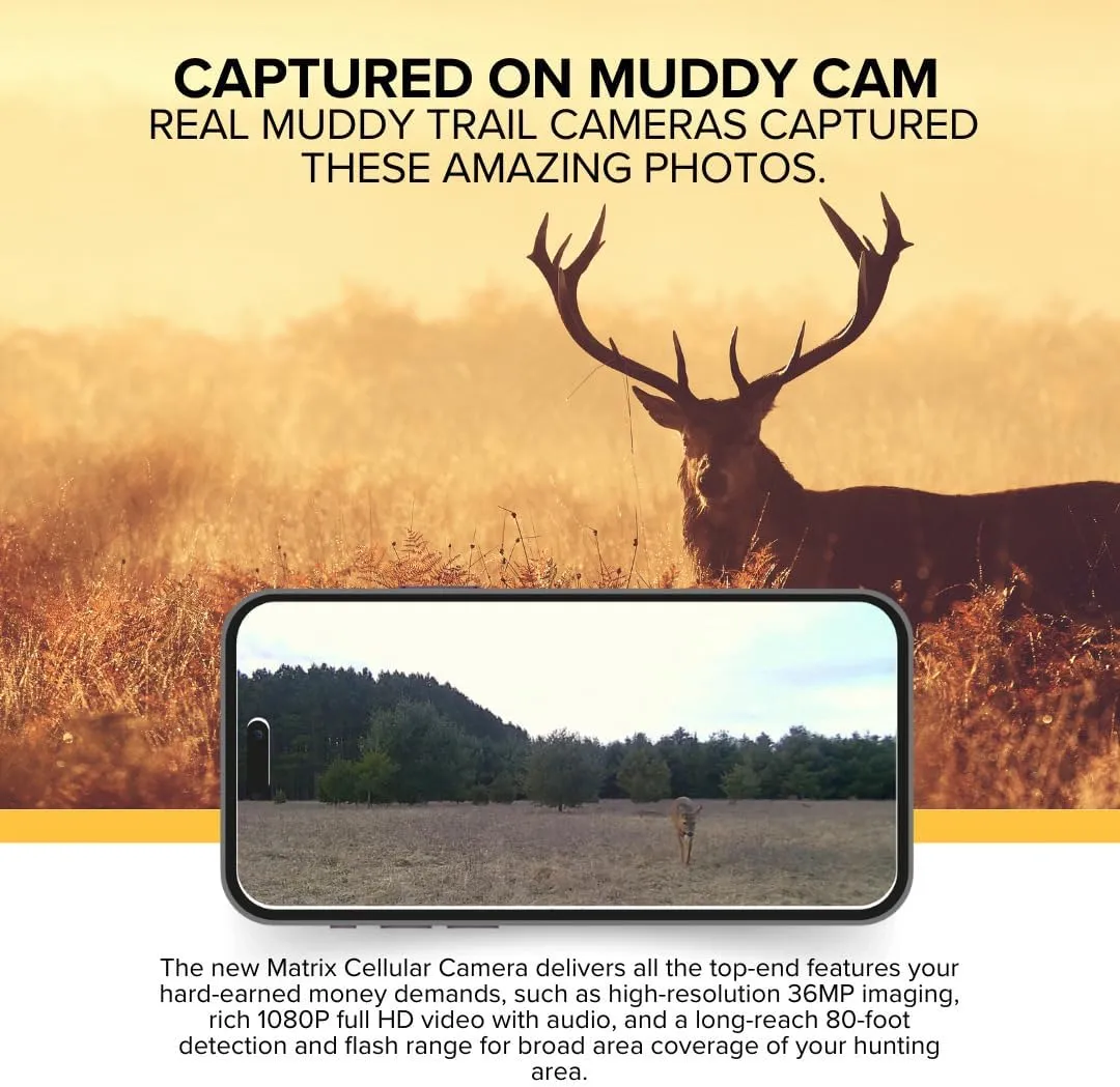 Matrix 36MP Imaging Cellular Trail Camera with On Demand Photo and Dual Network (Mud, 2-Pack) Bundle with 32GB SDHC UHS-I Memory Card (2-Pack) and Card Reader (5 Items)