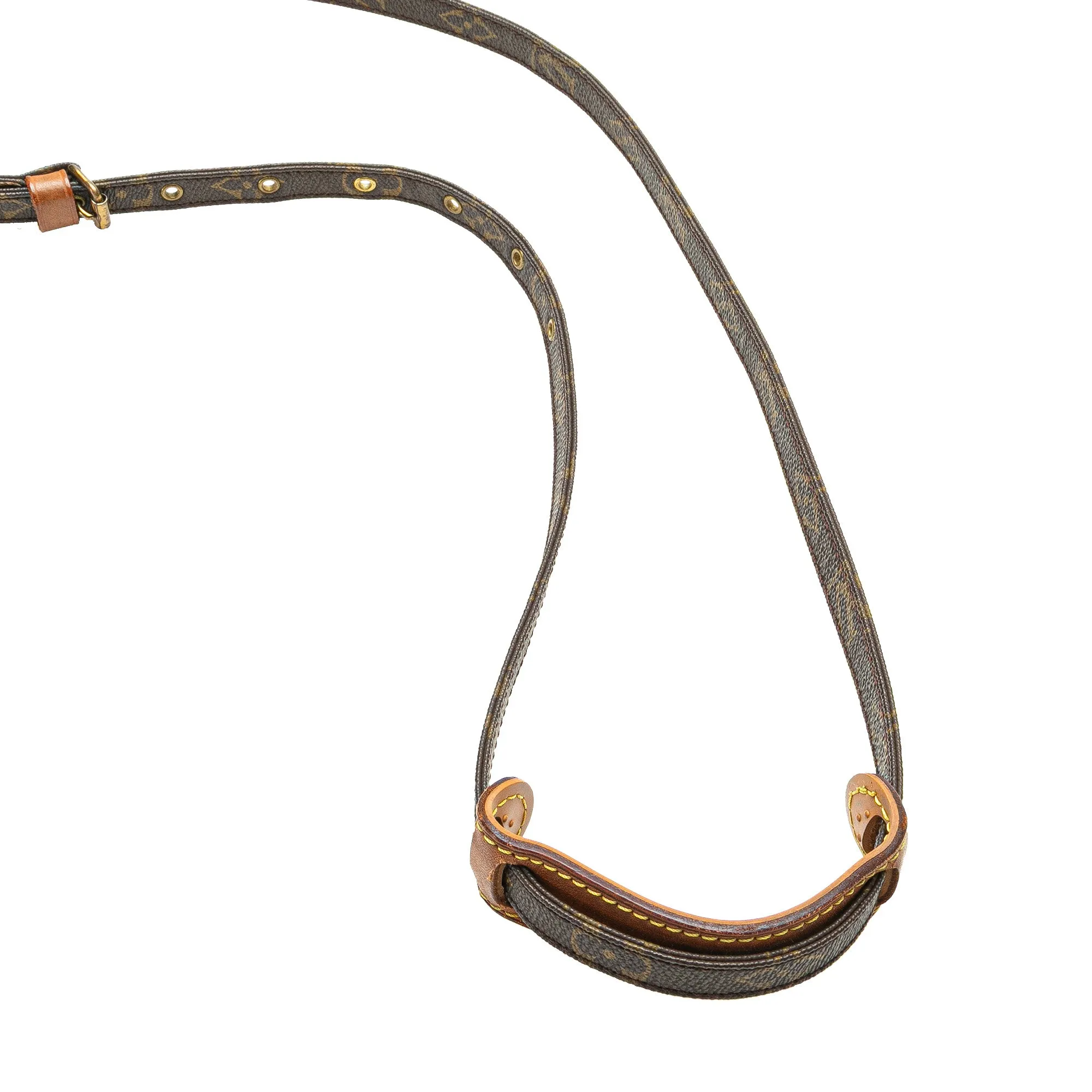 Monogram Mini Amazone