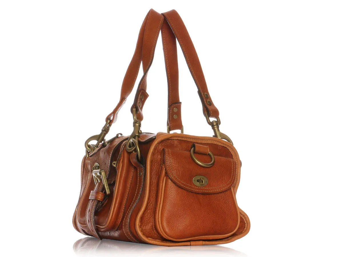 Mulberry Oak Emmy
