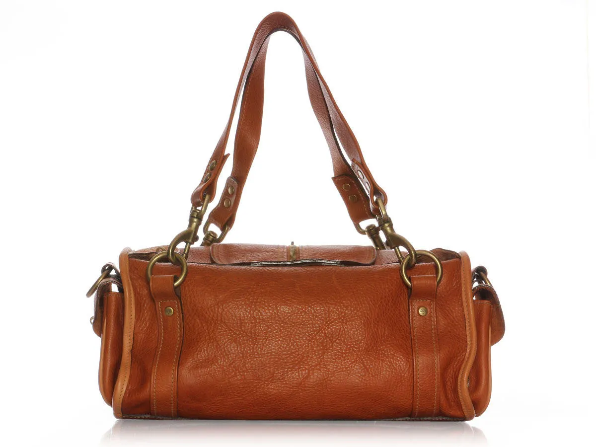 Mulberry Oak Emmy