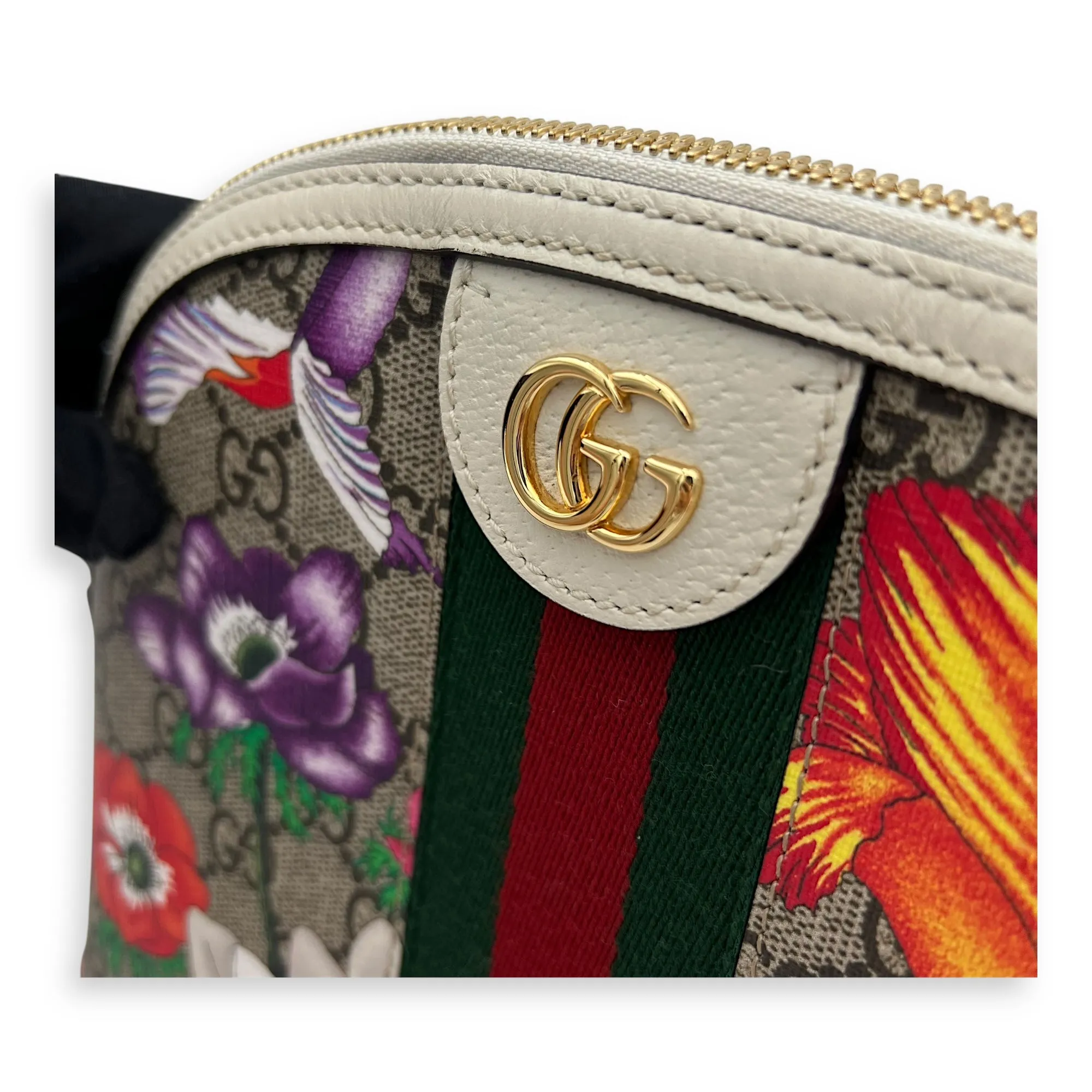Ophidia Crossbody Bag Multi-colour in Monogram Coated Canvas, Gold hardware
