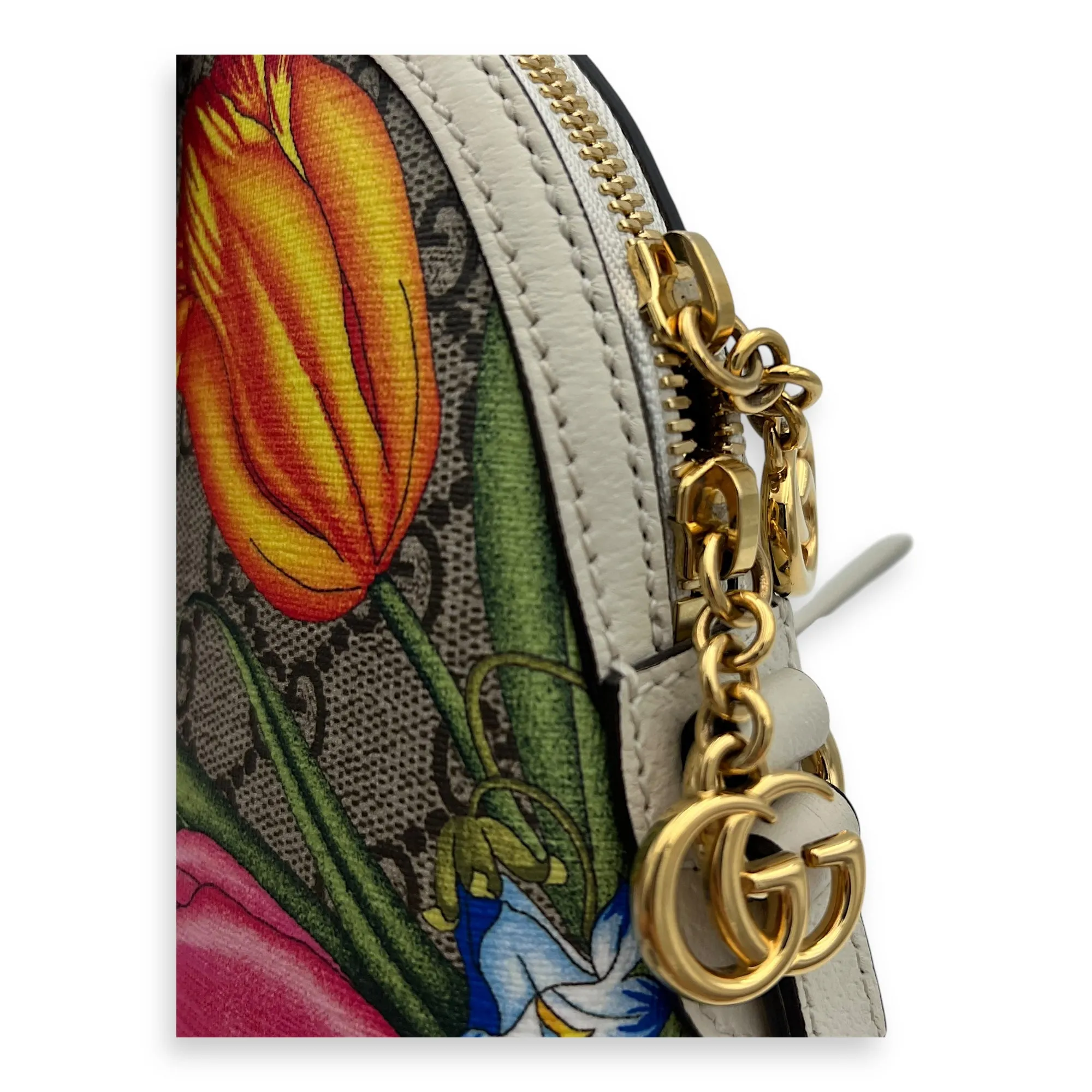 Ophidia Crossbody Bag Multi-colour in Monogram Coated Canvas, Gold hardware