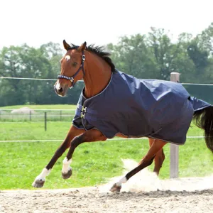 Outdoor Rug Montreal 100g