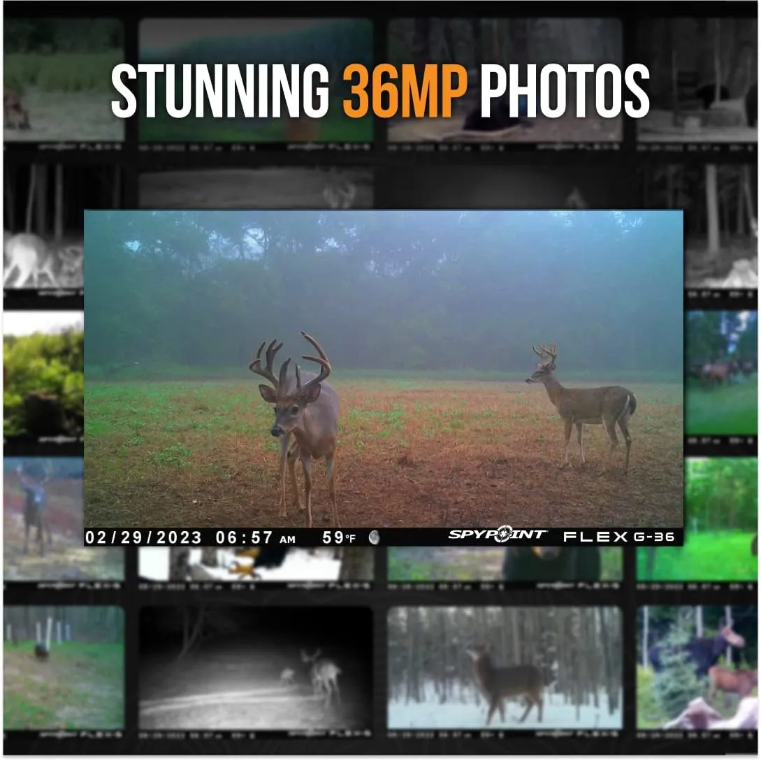 SPYPOINT Flex G-36 Camo - Outdoor Cellular Trail Camera,1080p Video with Sound, 36 Megapixels, 0.3S Trigger Speed, 100 Flash and Detection Range with Improved Battery Life
