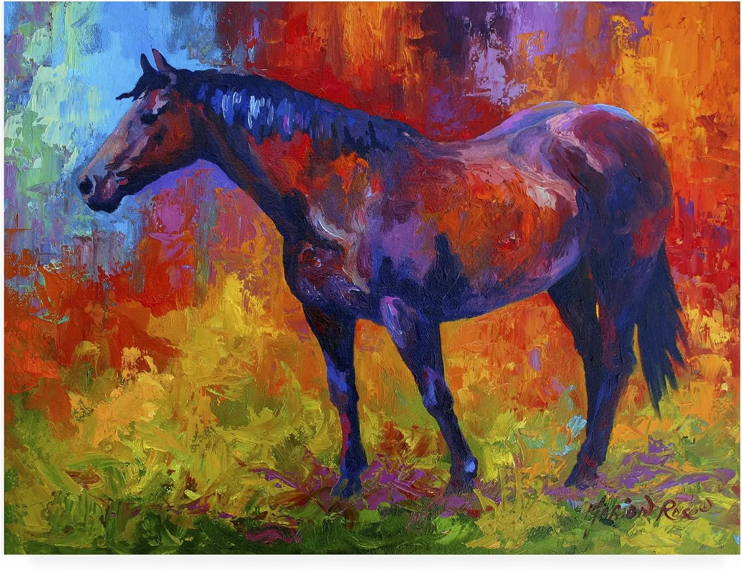 Trademark Fine Art ' Bay Mare I ' Outdoor Canvas by Marion Rose