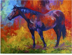 Trademark Fine Art ' Bay Mare I ' Outdoor Canvas by Marion Rose